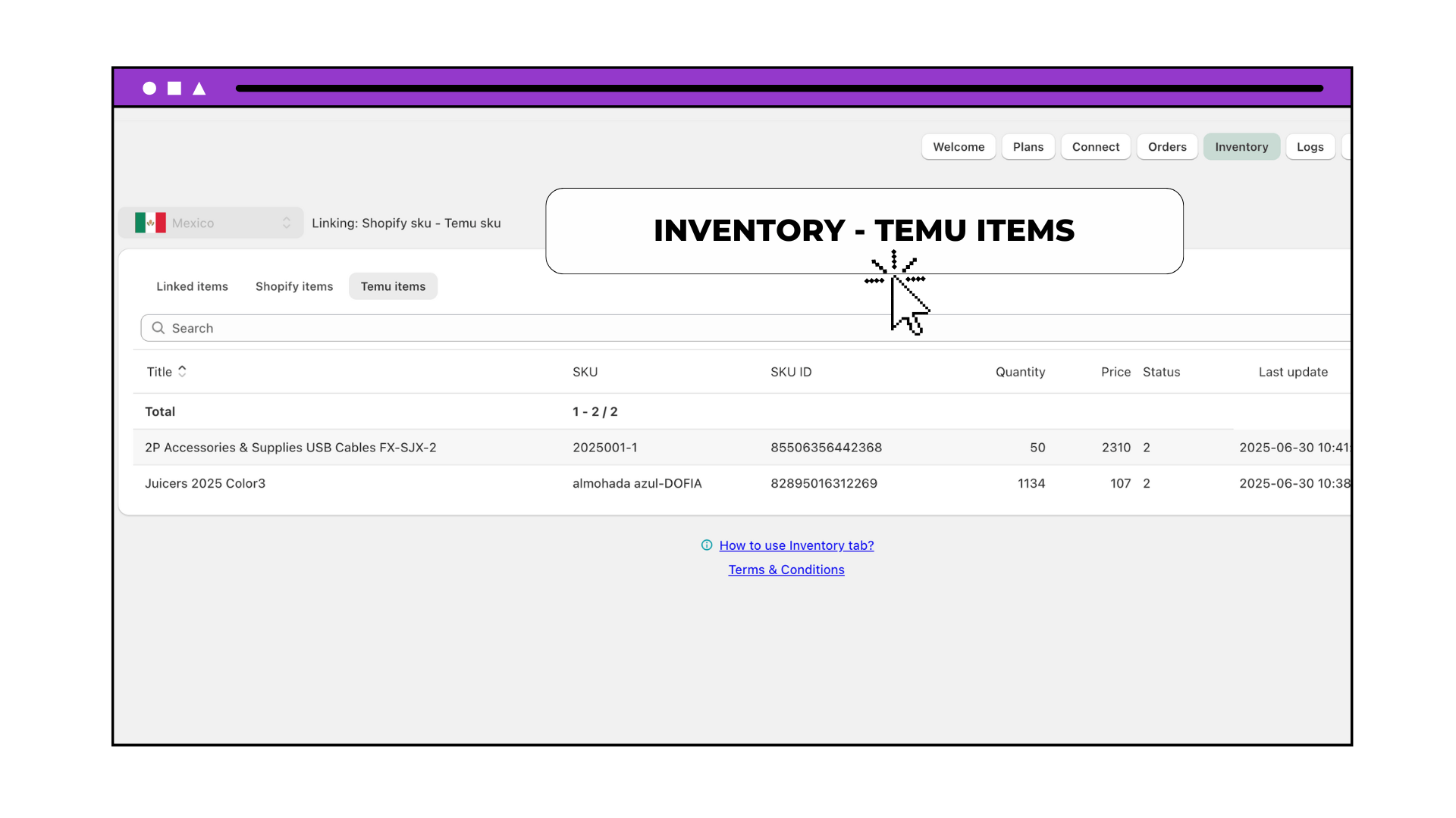 INVENTORY - TEMU ITEMS