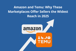Amazon et Temu : pourquoi ces places de marché offriront aux vendeurs la plus grande portée en 2025